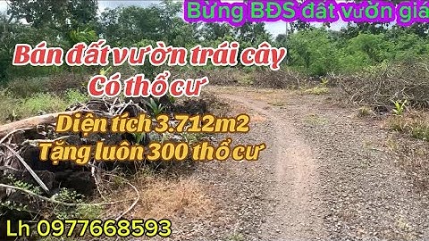 anh chị Hồng lâm cảnh nợ nần chồng chất khó khăng cần bán gấp lô đất vườn trái cây có thổ cư giá rẻ 