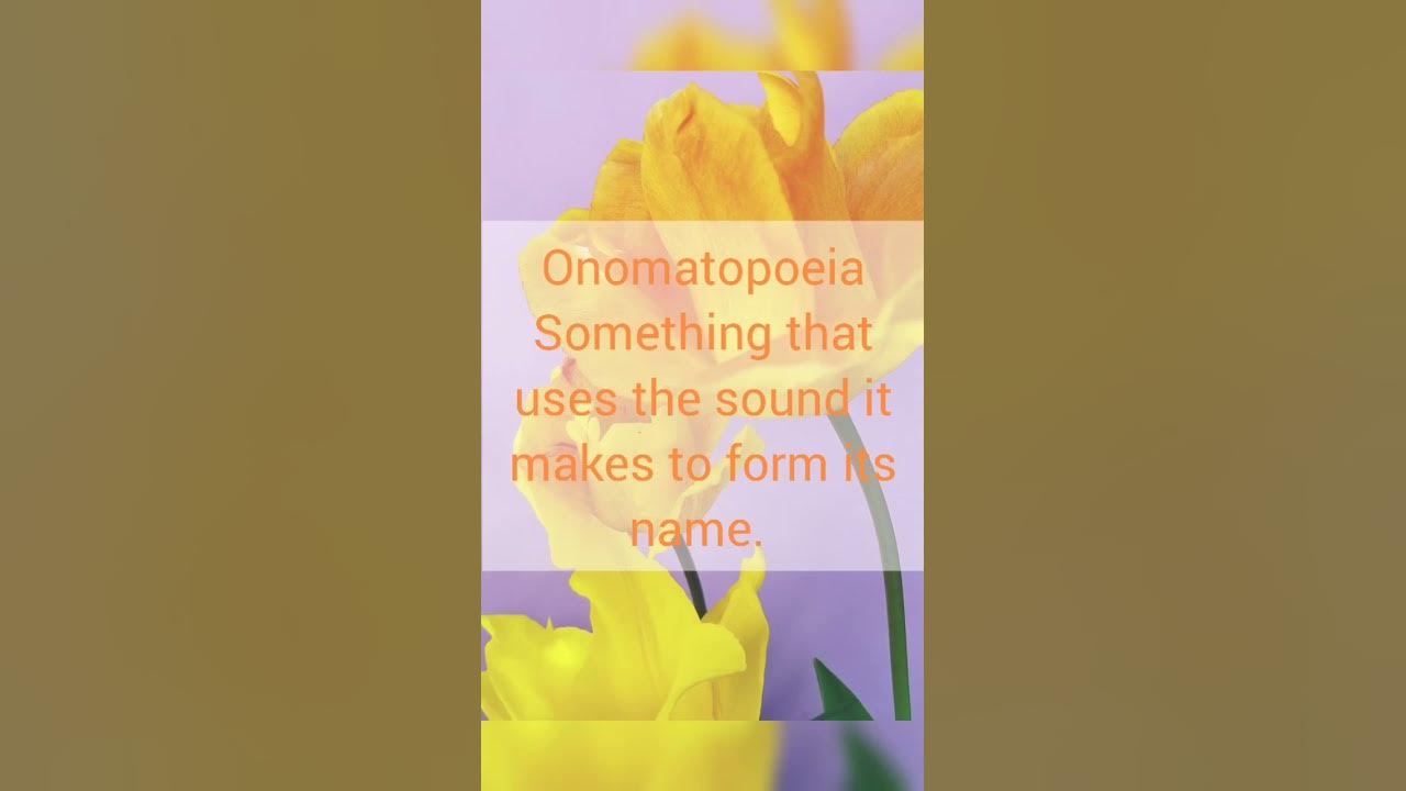 the-most-beautiful-english-words-part-46-new-vocabulary