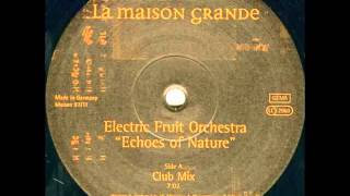 Electric Fruit Orchestra - Echoes Of Nature (Club Mix) (1997) Resimi