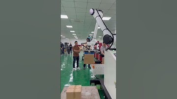 Palletizing robot#industrial robot#six-axis robot