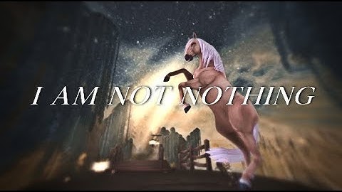 "I Am Not Nothing" SSO MEP