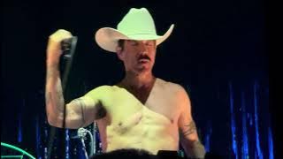 Red Hot Chili Peppers - I Could Have Lied (Live) 4K
