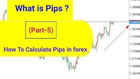 What Is A Pip In Forex Market | Bangla Tutorial | How to count Pips|
