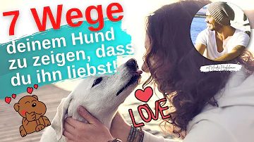 Wo liegt ein Hund am liebsten?