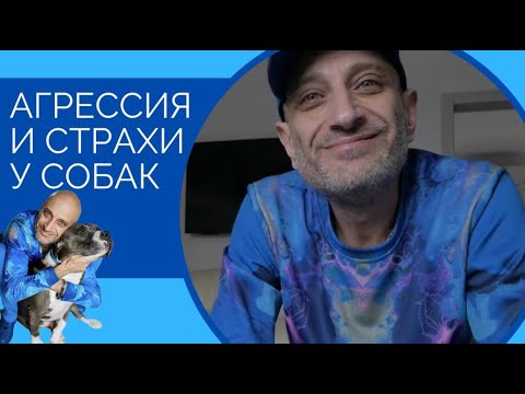 Видео: Почему моя собака рычит на некоторых людей, а не на других?