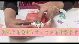 【解説】 スーパーフロスの使い方について（NGシーンあり）