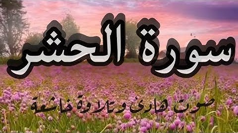 سورة الحشر (صوت هادئ وتلاوة خاشعة)