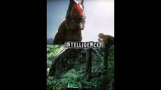 Siats Vs Yangchuanosaurus