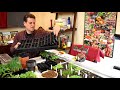 Gardening 101 Ep1: Indoor Vegetable Seed Starting Basics: Seeds, Starting Supplies & Lighting