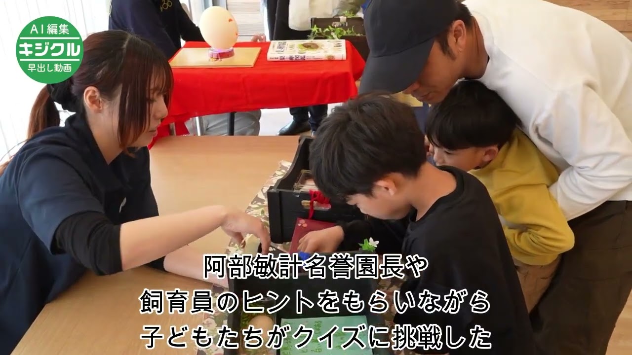コパークラフト  鶏と子供 Amazon.co.jp: Zicke Zacke Hühnerkacke: Für 2-4 Spieler ab 4 Jahren