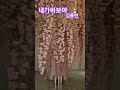 #내가바보야#김용빈#얼굴천재#부산#신세계센텀시티#신세계의봄
