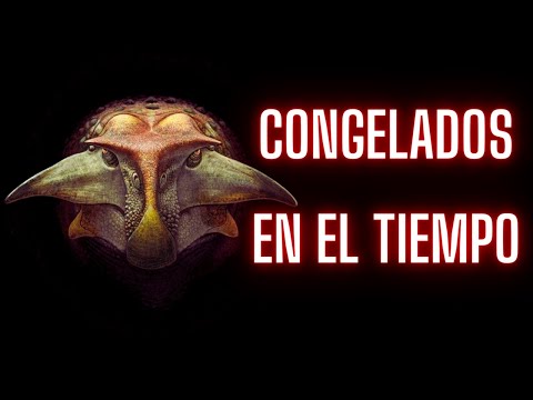 CONGELADOS EN EL