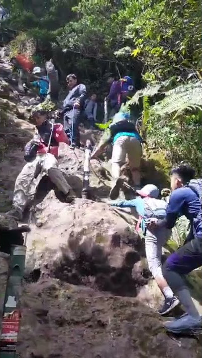 Tanjakan syetan Gunung Gede Pangrango via cibodas