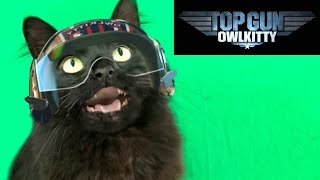 Top Gun with a Cat (Behind the Scenes) by OwlKitty 1,194,384 views 1 year ago 5 minutes, 57 seconds