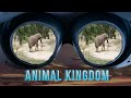 Take a short trip to Animal Kingdom in VR180 3D VR