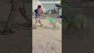 DogRescue, #AnimalRescue, #DogsofInstagram, #RescuedDog, और #AnimalWelfare। #dog #funny