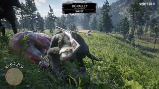 :     RDR 2