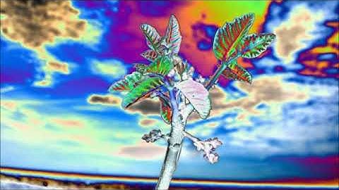 B-Complex - Different Kind Of Masochist