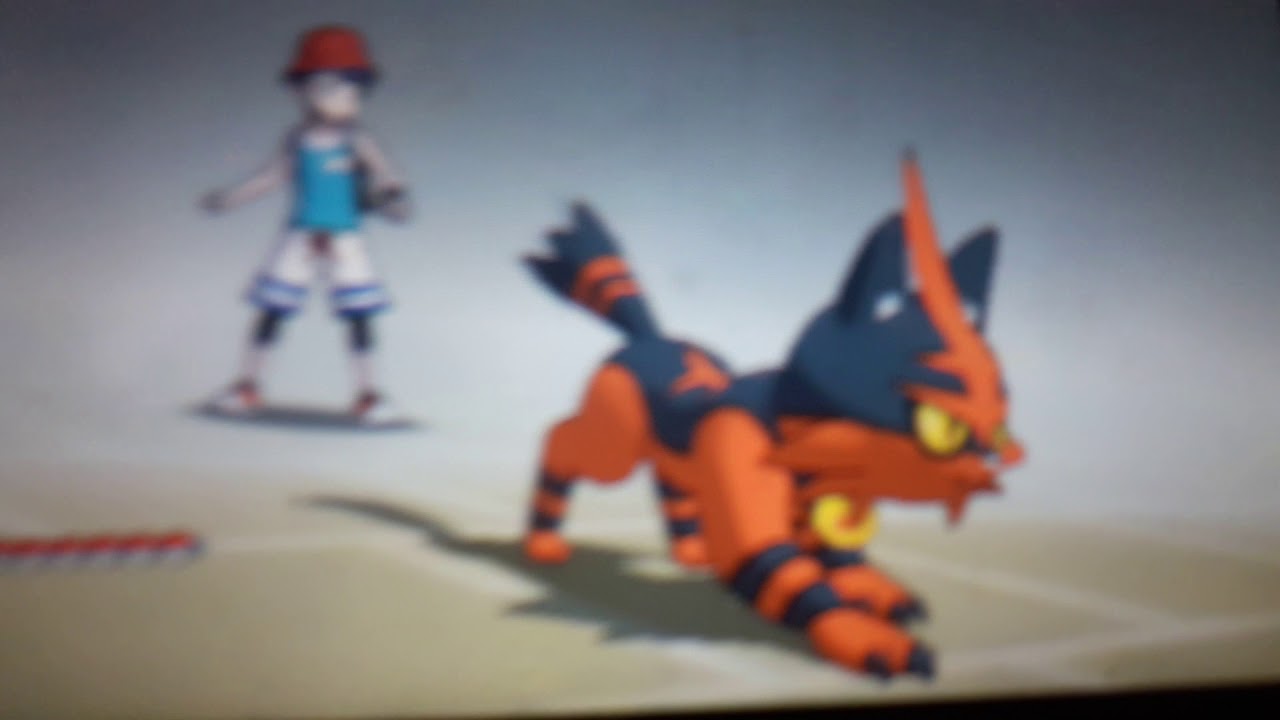 How to get Kelcleon in Pokemon Ultra Sun and Moon