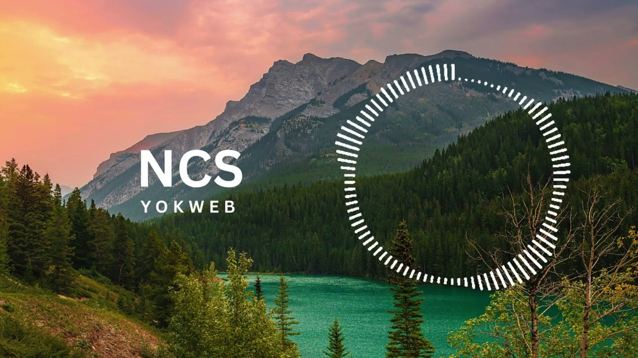 More Plastic | Champion | NCS - YOKWEB |