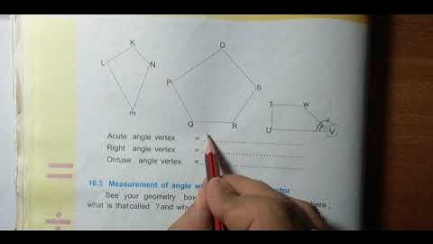 Maths/Class 5/Chapter 16/Geometry