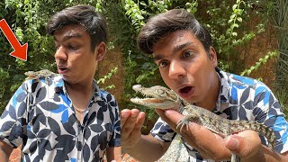 Hmara Pas Baby Crocodile Agea 🥵 Surprise