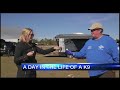 A Day In The Life Of A Search And Rescue Dog A Day In The Life Of A Search And Rescue Dog