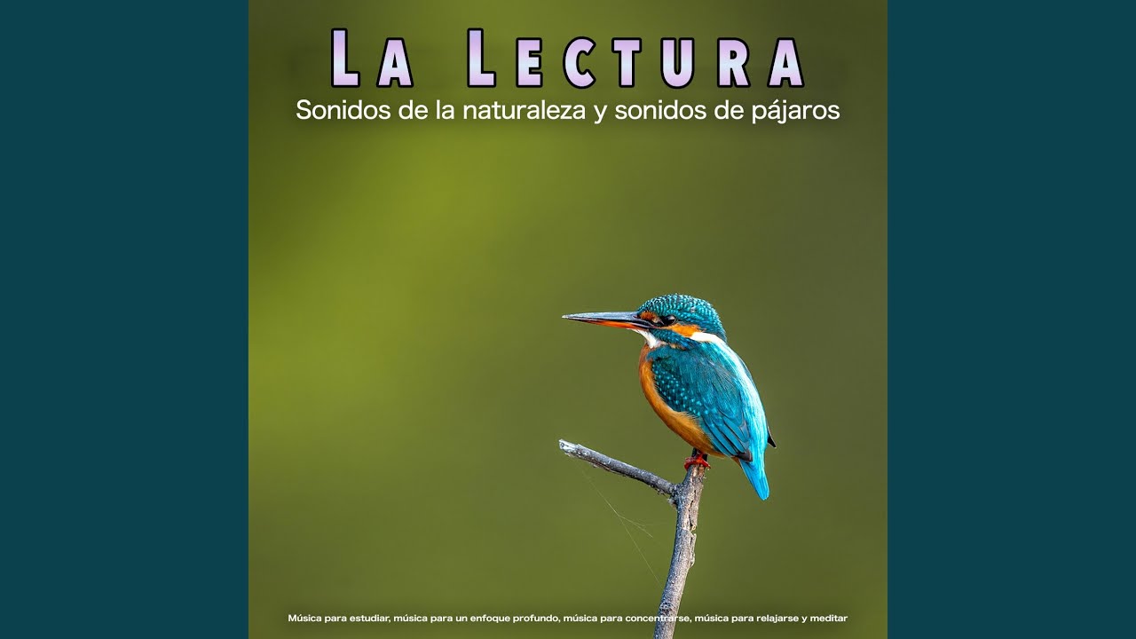 Música Para Concentrarse Youtube