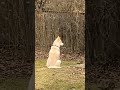Husky Practices Zen Meditation