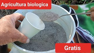 Cenușa, îngrășământ bio natural gratis