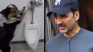 Akshay Kumar PROMOTES Toilet With Cute Dog Video