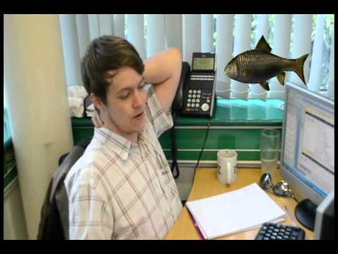 SEO Services UK funny Videos