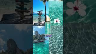 Best Perfume According To Your Body Smell