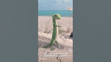 The GEICO Gecko stops by at the beach (GEICO)
