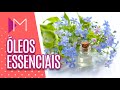 Óleos essenciais - Mulheres (01/06/20)