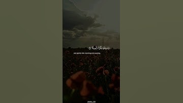 سورة الأحزاب | الآيات 41 - 44 | القارئ سعد الغامدي