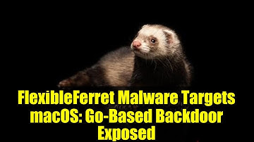 FlexibleFerret Malware Targets macOS: Go-Based Backdoor Exposed