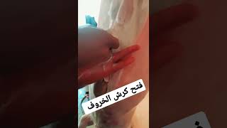 طريقة #فتح كرش الخروف شاهد ماذا وجد داخل المعدة 😱