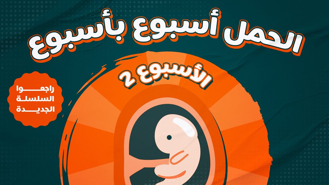 الاسبوع الثاني في الحمل