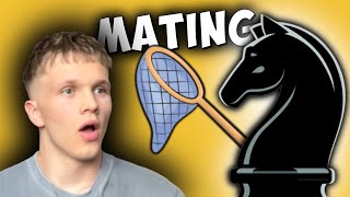 The Art Of The MATING NET