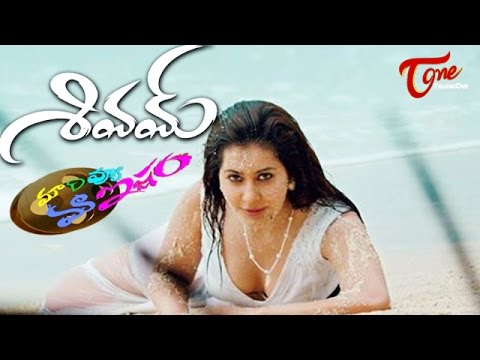 Puli And Shivam Might Increase The Sales