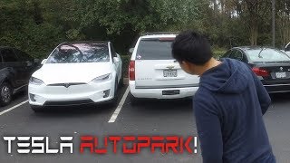 Tesla Self Parking  Say Goodbye to Parallelophobia!