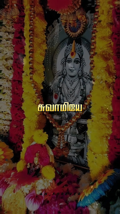 Pallikattu Sabarimalaikku Song| Lord Ayyappan Full Screen HD WhatsApp status|Ayyappa Devotional song