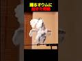 うつ病のオウムを救った方法
