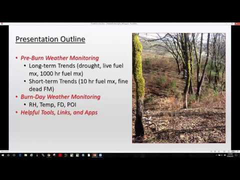 Tracking the windspeeds before and after a prescribed burn turned ...