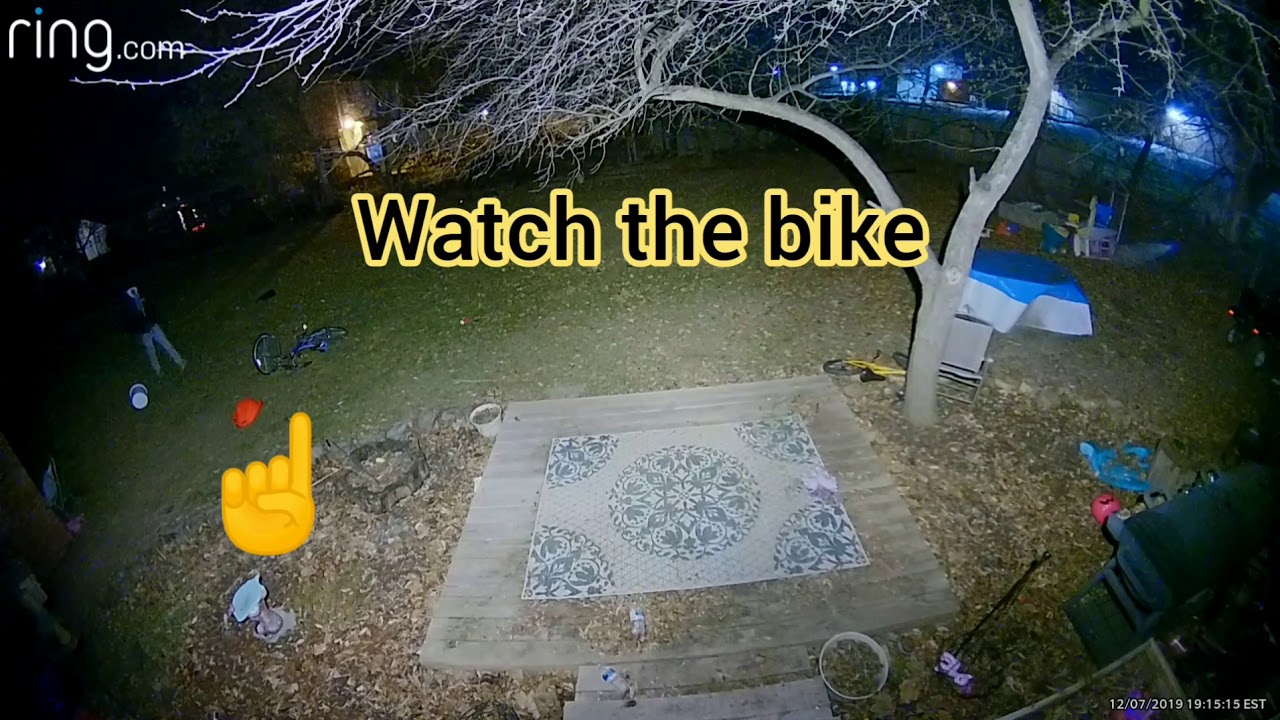 Ring cam caught a thief stealing a bike in fenced in yard. - YouTube
