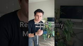 Repotting my Monstera in my Living Room. #ihavethisthingwithplants #repotting #plantcare  #plantmom