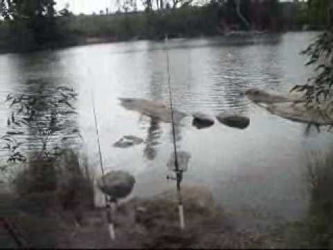 European CARP FISHING #2