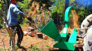 Buying a Cheap Tractor Powered pto Chipper to clean up branches and reduce fire risk.