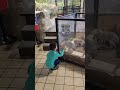 SA Aquarium Winter Break (1)